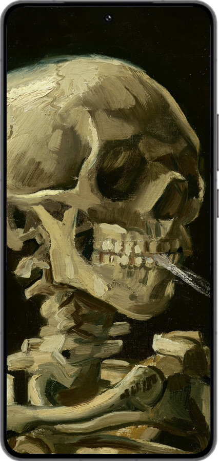 Силиконовый чехол Винсент Ван Гог. Череп для Vivo IQOO 13 - 5544u-3913 изображение 