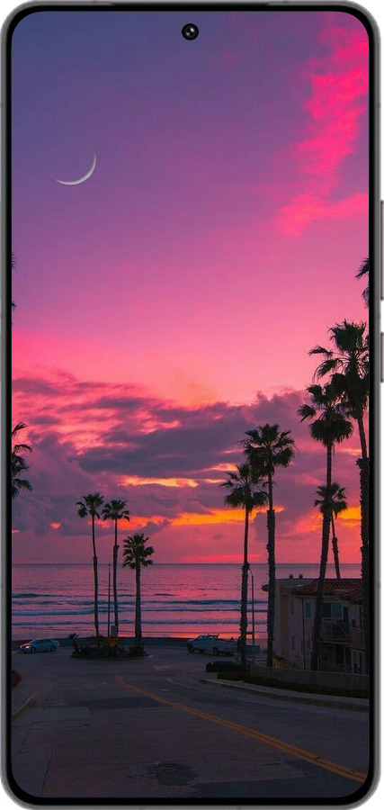 Силиконовый чехол Пальмы для Vivo IQOO 13 - 5873u-3913 изображение 