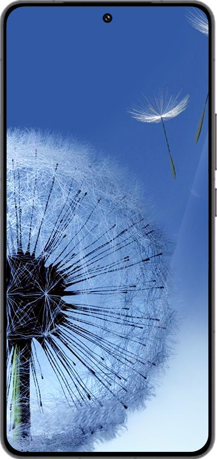 Силиконовый чехол Одуванчик для Vivo IQOO 13 - 6005u-3913 изображение 