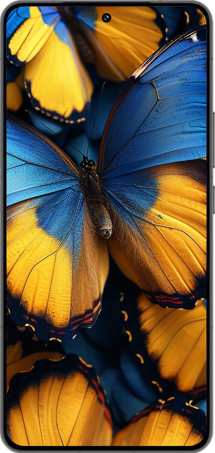 Силиконовый чехол Желто-голубые бабочки для Vivo IQOO 13 - 6046u-3913 изображение 