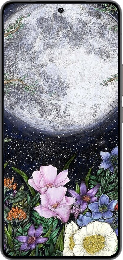 Силиконовый чехол Полночь в саду II для Vivo IQOO 13 - 6424u-3913 изображение 