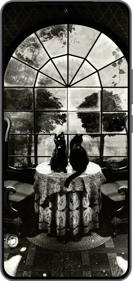 Силиконовый чехол Череп и коты для Vivo IQOO 13 - 6432u-3913 изображение 