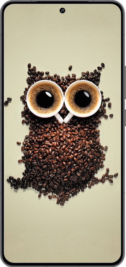 Силиконовый чехол Сова из кофе для Vivo IQOO 13 - 777u-3913 изображение 