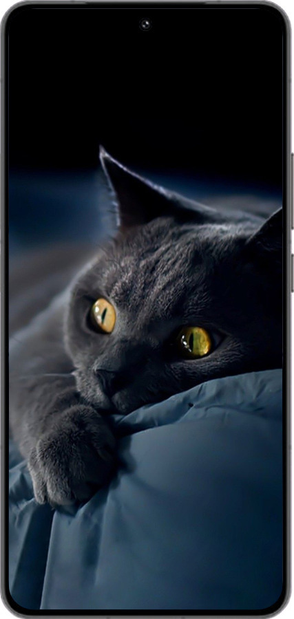 Силиконовый чехол Дымчатый кот для Vivo IQOO 13 - 825u-3913 изображение 