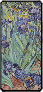 Силиконовый чехол Винсент Ван Гог. Ирисы для Vivo Y300 GT 5G - 161u-4151 изображение 