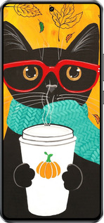 Силиконовый чехол Осенний кот для Vivo iQOO Z10 Turbo - 4026u-4150 изображение 