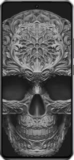 Силиконовый чехол skull-ornament для Vivo IQOO Neo 10 5G - 4101u-3920 изображение 