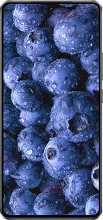 Силиконовый чехол Голубика для Vivo Y300 GT 5G - 4459u-4151 изображение 