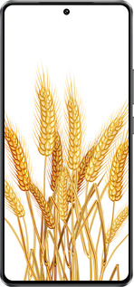 Силиконовый чехол Колоски пшеници для Vivo iQOO Z10 Turbo - 5866u-4150 изображение 