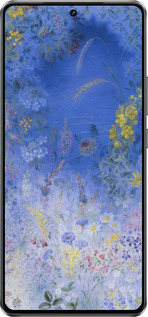 Силиконовый чехол Билокур для Vivo IQOO Neo 10 5G - 5908u-3920 изображение 