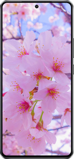 Силиконовый чехол Сакура для Vivo IQOO Neo 10 5G - 6029u-3920 изображение 