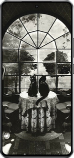 Силиконовый чехол Череп и коты для Vivo IQOO Neo 10 5G - 6432u-3920 изображение 