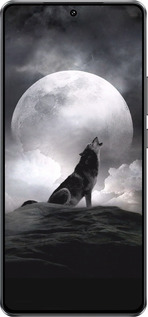 Силиконовый чехол Воющий волк для Vivo Y300 GT 5G - 934u-4151 изображение 