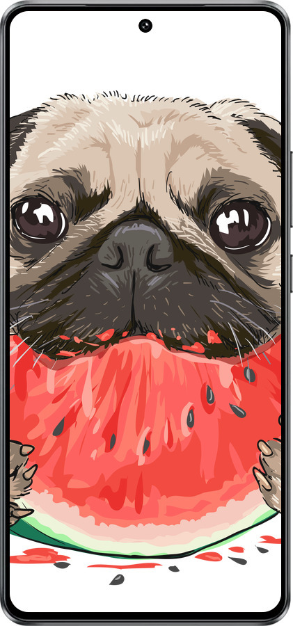 Силиконовый чехол Мопс и арбуз для Vivo iQOO Z10 Turbo - 4665u-4150 изображение 