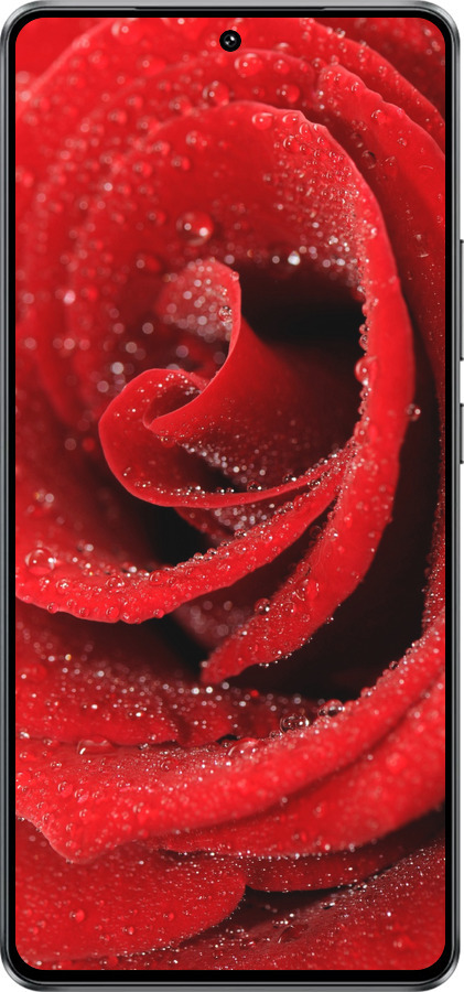 Силиконовый чехол Красная роза для Vivo Y300 GT 5G - 529u-4151 изображение 