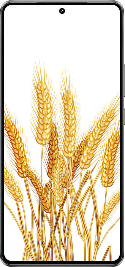 Силиконовый чехол Колоски пшеници для Vivo iQOO Z10 Turbo - 5866u-4150 изображение 