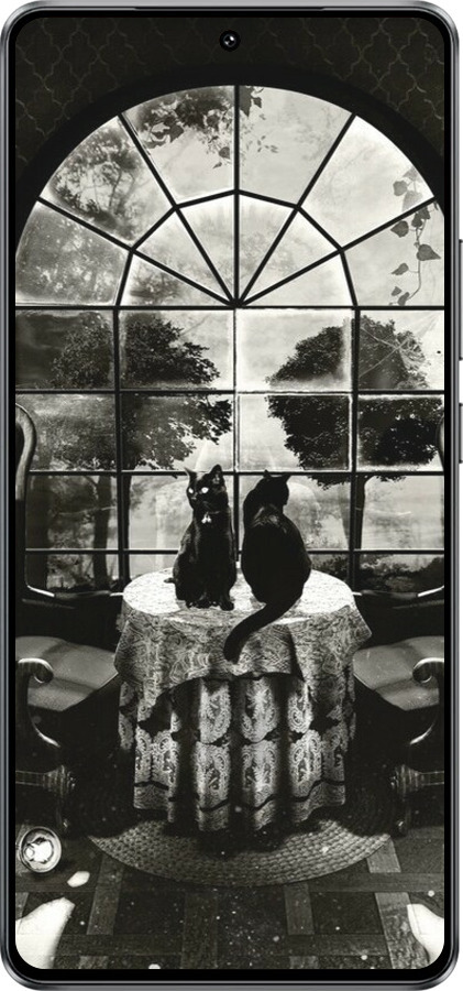 Силиконовый чехол Череп и коты для Vivo IQOO Neo 10 5G - 6432u-3920 изображение 