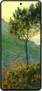 Силиконовый чехол Клод Моне для Vivo iQOO Neo9 - 1193u-3631 изображение 