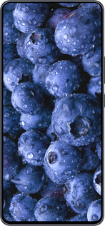 Силиконовый чехол Голубика для Vivo iQOO Neo9 - 4459u-3631 изображение 