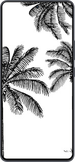 Силиконовый чехол Пальмы1 для Vivo iQOO Neo9 - 4634u-3631 изображение 