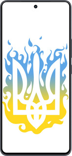 Силиконовый чехол Герб v1 для Vivo iQOO Neo9 - 5258u-3631 изображение 