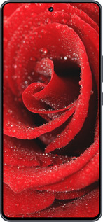 Силиконовый чехол Красная роза для Vivo iQOO Neo9 - 529u-3631 изображение 