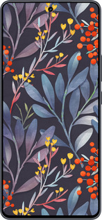 Силиконовый чехол № 5423 для Vivo iQOO Neo9 - 5423u-3631 изображение 