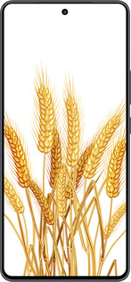 Силиконовый чехол Колоски пшеници для Vivo iQOO Neo9 - 5866u-3631 изображение 