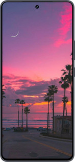 Силіконовий чехол Пальми для Vivo iQOO Neo9 - 5873u-3631 изображение 