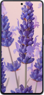 Силіконовий чехол Лаванда для Vivo iQOO Neo9 - 6037u-3631 изображение 