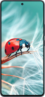 Силиконовый чехол Божья коровка для Vivo iQOO Neo9 - 6049u-3631 изображение 