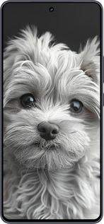 Силиконовый чехол Мальтипу на чорном фоне для Vivo iQOO Neo9 - 6156u-3631 изображение 