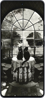 Силиконовый чехол Череп и коты для Vivo iQOO Neo9 - 6432u-3631 изображение 