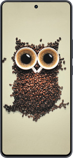 Силиконовый чехол Сова из кофе для Vivo iQOO Neo9 - 777u-3631 изображение 