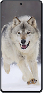 Силиконовый чехол Бегущий волк для Vivo iQOO Neo9 - 826u-3631 изображение 