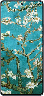 Силиконовый чехол Винсент Ван Гог. Сакура для Vivo iQOO Neo9 - 841u-3631 изображение 