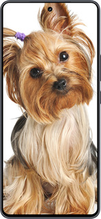 Силіконовий чехол Йоркширський тер'єр із хвостиком для Vivo iQOO Neo9 - 930u-3631 изображение 