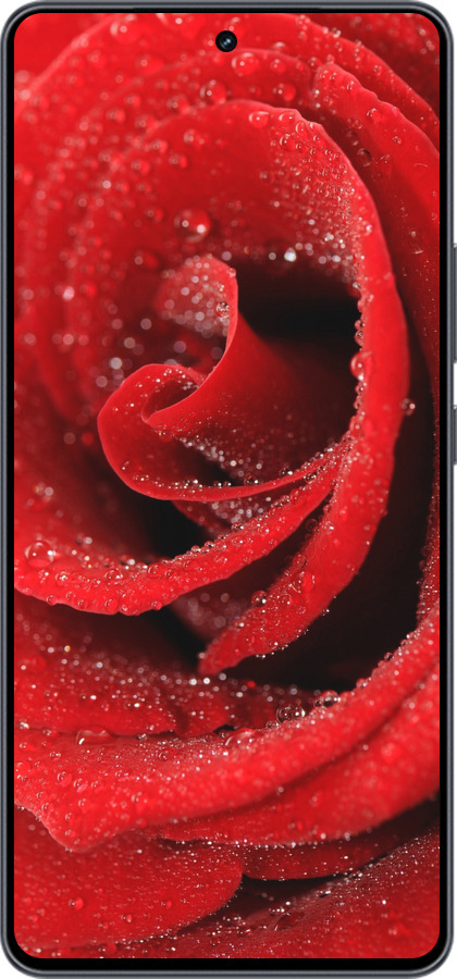 Силиконовый чехол Красная роза для Vivo iQOO Neo9 - 529u-3631 изображение 