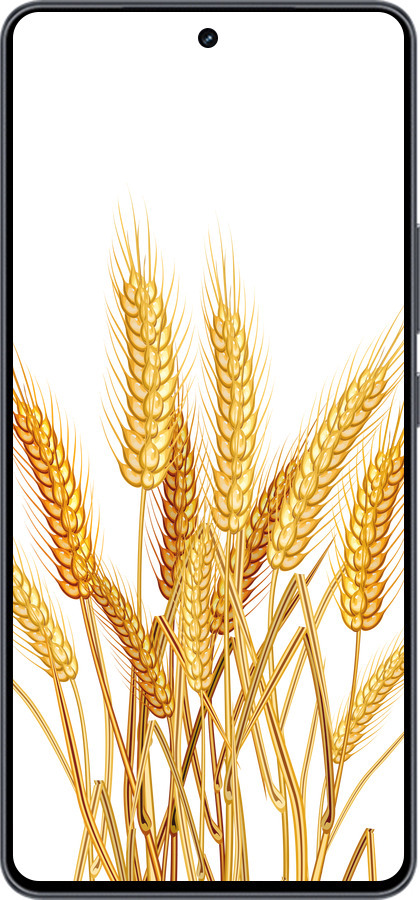 Силиконовый чехол Колоски пшеници для Vivo iQOO Neo9 - 5866u-3631 изображение 