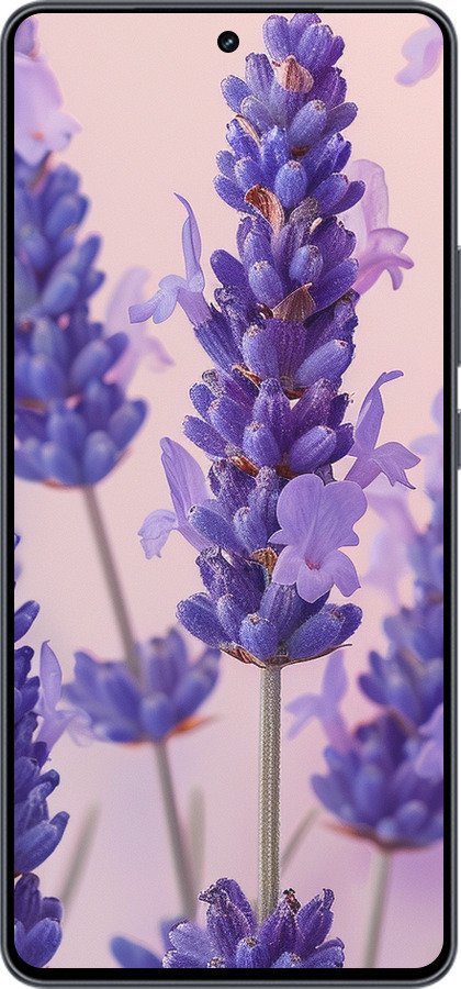 Силіконовий чехол Лаванда для Vivo iQOO Neo9 - 6037u-3631 изображение 