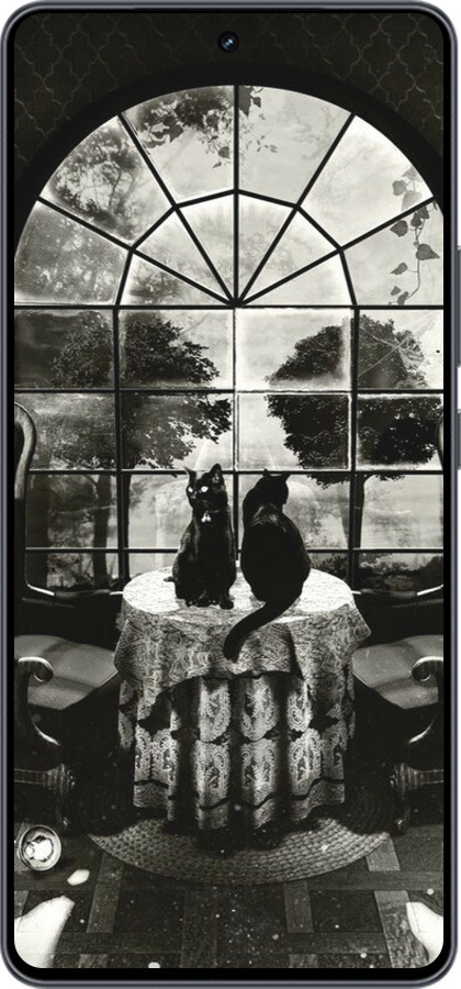 Силиконовый чехол Череп и коты для Vivo iQOO Neo9 - 6432u-3631 изображение 