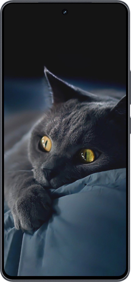 Силиконовый чехол Дымчатый кот для Vivo iQOO Neo9 - 825u-3631 изображение 