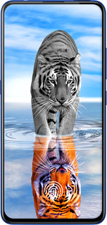 TPU чехол Тигр для Vivo V15 pro - 6016b-1763 изображение 