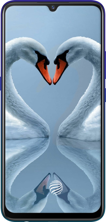 2D пластиковый чехол Лебеди для Vivo V17 Neo - 6007t-1764 изображение 