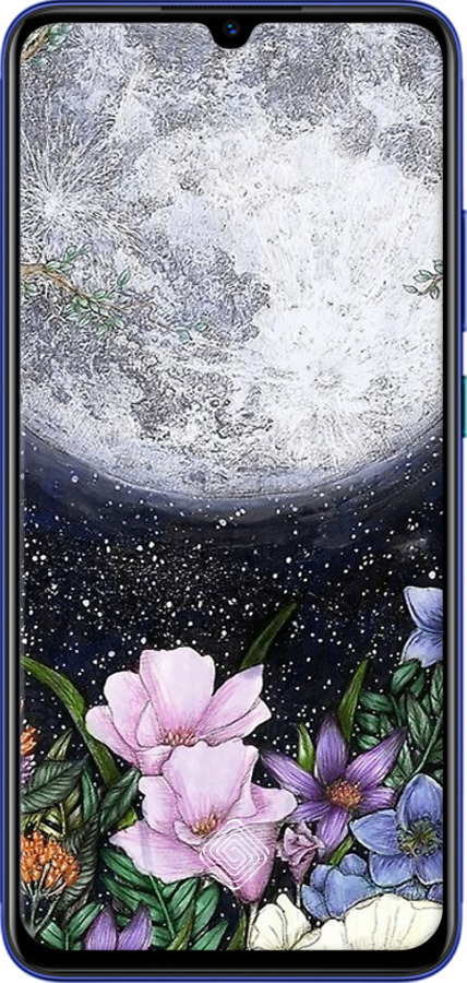 TPU чехол Полночь в саду для Vivo V17 - 6259b-1819 изображение 