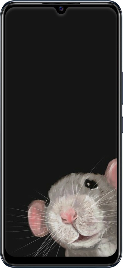 TPU чехол The Peeking Rat для Vivo V20 SE - 6442b-2128 изображение 
