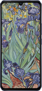 Силиконовый чехол Винсент Ван Гог. Ирисы для Vivo V21 - 161u-2368 изображение 