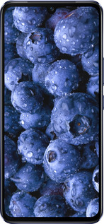 Силиконовый чехол Голубика для Vivo V21 - 4459u-2368 изображение 