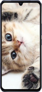 Силиконовый чехол Котик для Vivo V21 - 6024u-2368 изображение 