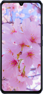 Силиконовый чехол Сакура для Vivo V21 - 6029u-2368 изображение 